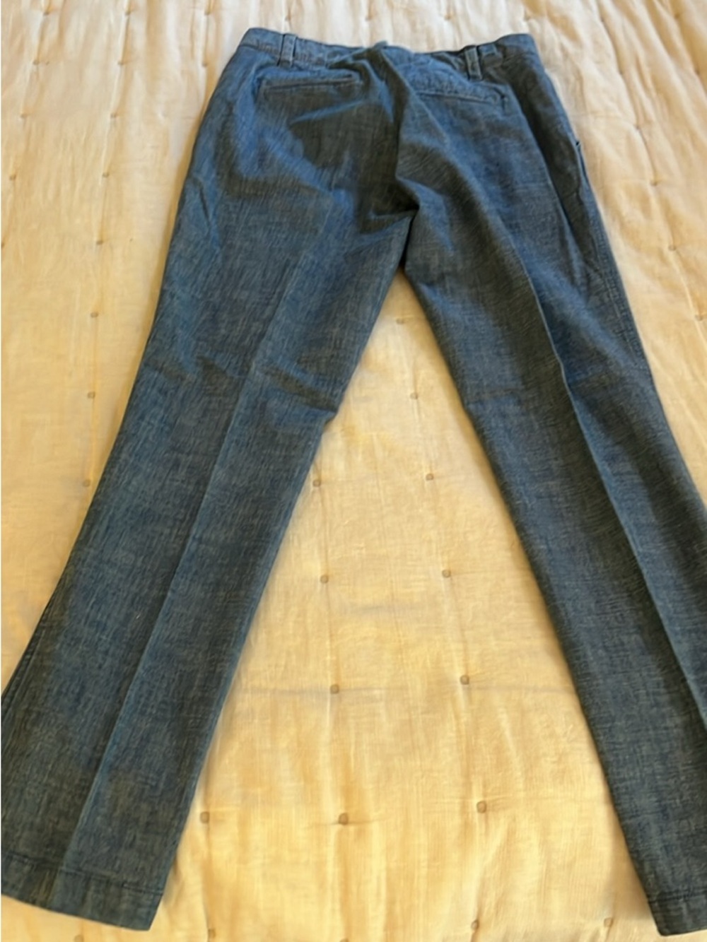 J. Crew Women's Skinny Pants in chambray Denim Blue